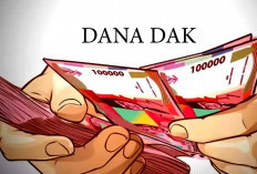 Operator Jangan Keliru, Pengusulan DAK Pendidikan Seluruhnya Online
