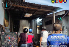 Api Tetiba Bakar Rumah Warga Pasar Mulia, 38 Petugas Damkar Turunkan 3 Armada