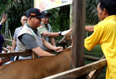 Gubernur Dorong Riak Siabun Jadi Lumbung Pengembangan Ternak