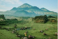 Pesona dan Keindahan Ranau Manduro di Mujokerto Jawa Timur, Objek Wisata Menyajikan Pemandangan Sabana Hijau