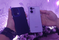 Oppo Luncurkan Reno13 Series di Indonesia, Ada Fitur Foto Bawah Air dan Teknologi AI, Cek Harga di Sini 