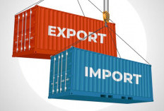Menjadi Importir Barang dari China Berpeluang Untung Besar! Mau? Begini Caranya