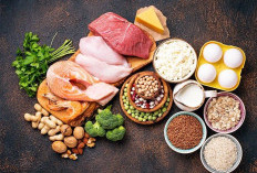 3 Makanan Terbaik untuk Membentuk Otot dan Sumber Protein Berkualitas