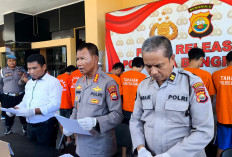 Tanam dan Jual Ganja, 4 Pemuda di Bengkulu Berhasil Ditangkap Polisi