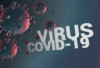 Pemkab Seluma Terbitkan Surat Edaran Waspadai Penyebaran Virus Covid-19