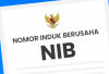 DPMPTSP Kaur Program Jemput Bola untuk Percepat Pengurusan NIB UMKM