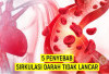  Lima Penyebab Sirkulasi Darah Tidak Lancar, Salah Satunya Penyakit Diabetes