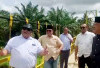 Bupati Rifai Perjuangkan Jembatan Tanjung Menang-Tanjung Eran Dibangun Permanen