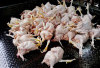 Harga Daging Ayam Potong Naik Drastis, Ini Penyebabnya