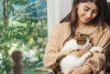 Hidup Lebih bahagia dan Sehat dengan Memelihara Kucing