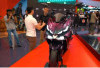 SYM DRGBT 160 Resmi Meluncur, Skutik 160cc Bertampang Sangar Siap Tantang Honda Vario!