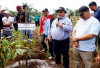 Bupati Bengkulu Selatan dan Wakilnya, Launching Tanam Durian