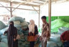 Pastikan Ketersediaan Stok Cadangan Pangan, DKP Bengkulu Selatan Pantau Ke Lapangan