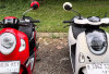 Honda Scoopy 2025 vs Scoopy Lama: Desain Makin Modern, Tapi Bagus yang Mana?
