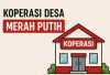 Soal KDMP, Kades di Seluma Mulai Resah  