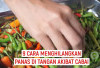 9 Cara Ampuh Menghilangkan Panas di Tangan Akibat Cabe