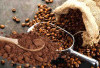 Harga Kopi Biji dan Bubuk di Bengkulu Mengalami Penurunan