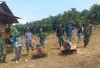 Dandim 0408 Bengkulu Selatan Ajak  Warga Manfaatkan Lahan Pekarangan