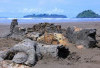 Pantai Air Manis di Sumatera Barat, Saksi Bisu Legenda Malin Kundang Si Anak Durhaka