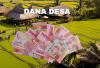 Aduh! Pemerintah Pusat Alihkan DD di Seluma Untuk Belanja Pegawai