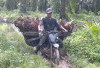 Motor Bebek Paling Tangguh di Indonesia, Cocok untuk Petani! Awet, Irit, dan Tahan Banting