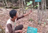 Perhatian! Masyarakat Boleh Manfaatkan Hasil Alam Tahura