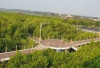 Keindahan Taman Mangrove di Tangerang, Menyajikan Pemandangan Hutan Mangrove yang Mempesona