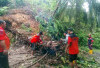 3 Titik Pohon Tumbang dan Longsor Hantam Wilayah Bengkulu Selatan, Dampak Cuaca Ekstrem