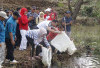 18 Ribu Bibit Ikan Nila Ditebar di Kolam Taman Panco Raden