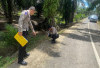 Kecelakaan Saat Mencari Rumput, Warga Lawang Agung Meninggal 