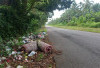 Banyak Sampah Berserakan di Bengkulu Selatan, Ternyata Buang Sampah ke TPA Harus Bayar