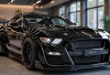 Ford Mustang Shelby GT500 2026, Gagah, Agresif, Mobil Amerika Yang Berjuluk Raja Tikungan