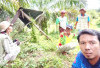 Tebat Niniak Dipastikan Direvitalisasi, Siap Jadi Penyangga Ratusan Hektar Sawah dan Perkebunan