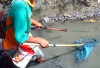 Satpoldam Bakal Lidik Pelalu Menyetrum Ikan di Bengkulu Selatan