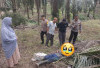 Geger Penemuan Mayat di Kebun Kelapa Sawit, Ini Kata Polisi
