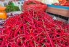 Harga Cabai Merah di Seluma “Tidak Pedas