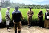 Petani Bengkulu Selatan Diajari Menanam Padi Gogo