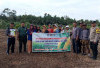 Desa Muara Jaya Prioritaskan Penanaman Jagung untuk Ketahanan Pangan