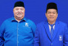 Berjaya di Pilkada Bengkulu Selatan, PAN Optimis Menang Pemilu 2029