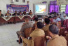 Sapi Dan Kerbau Berkeliaran Akan Ditembak Bius