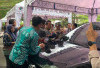 Pemberlakuan Penurunan Tarif Pajak Tunggu Pengesahan Revisi Perda